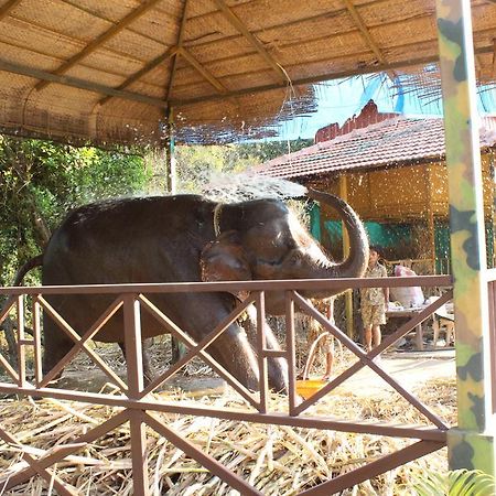 Shangri La Jungle Village Molem Eksteriør bilde