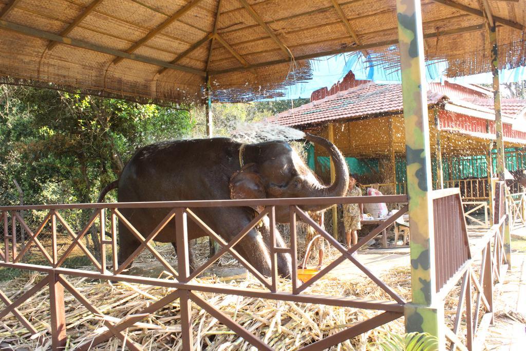 Shangri La Jungle Village Molem Eksteriør bilde